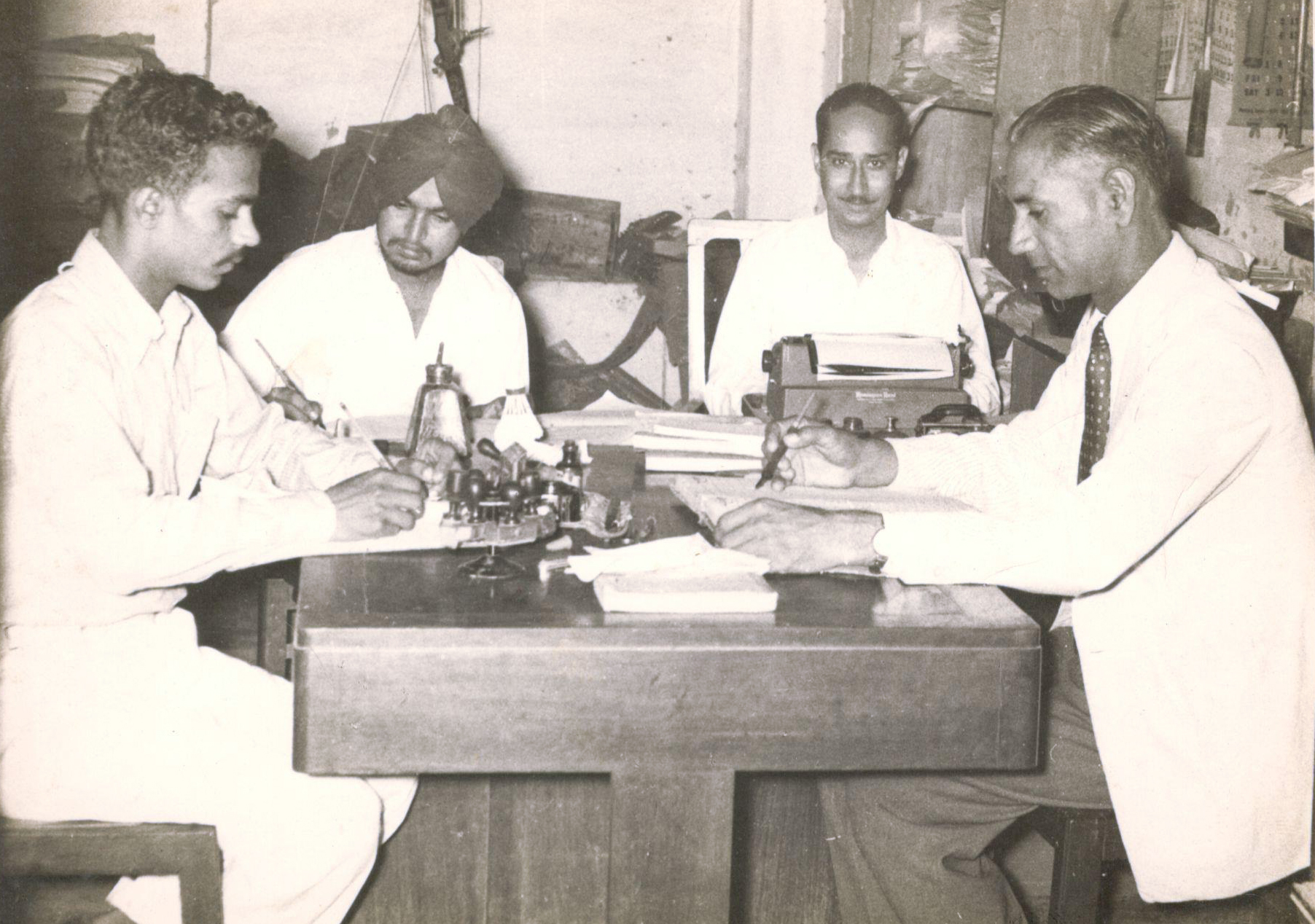 English willow cricket bat/s